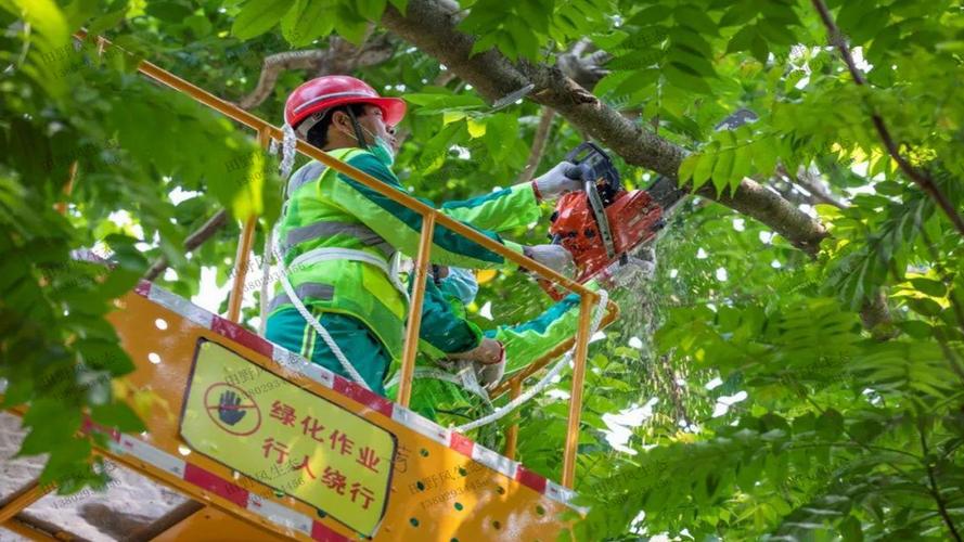 園林管理亂象曝光，專家敦促加強(qiáng)責(zé)任追究